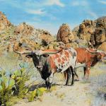 Prickly Pair
20x16
Original Available / Print $150.00
