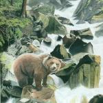 Fishin On The Rocks
16 X 20
Original - Sold
/ Print - $75.00