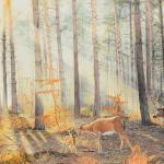 Forest Sanctuary 
30 X 18
Original - Available
/ Print - $175.00
