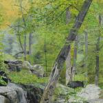 Smokey Mountain Refuge
16 X 20
Original - Not Available
/ Print - $125.00